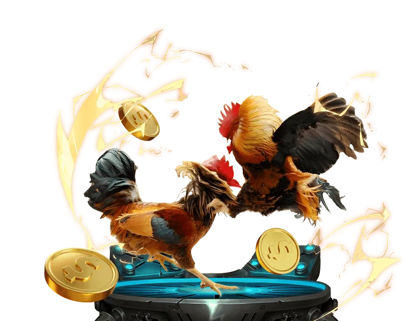 Minh họa các loại tỉ lệ kèo